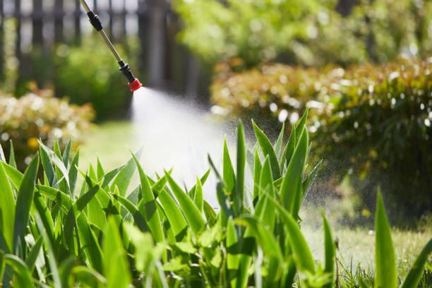 24/7 Emergency Ant Control experts in Frankenmuth, MI